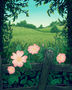 An illustration of a wild rose winding through an old fence, in front of a field.