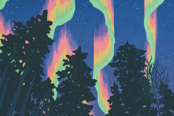 Aurora Borealis - an illustration from a series exploring winter in nature.