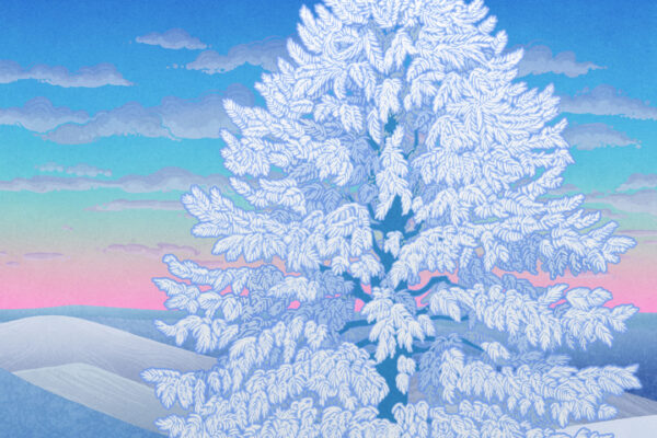 The White Tree - an illustration from a series exploring winter in nature.